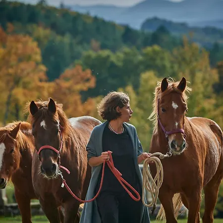 Chateau De Sibra Oda ve Kahvaltı Lagarde (Ariege)