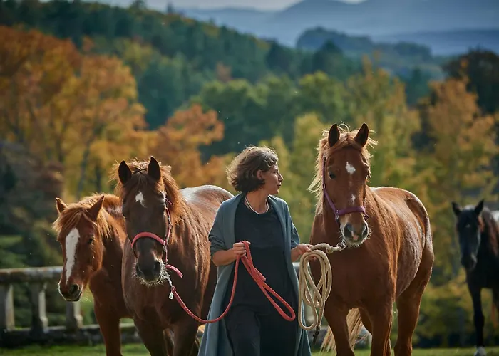 Chateau De Sibra Frühstückspension Lagarde (Ariege)